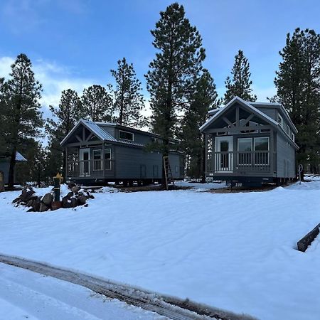 וויליאמס Cozy Cabin With Mountain View 6A מראה חיצוני תמונה