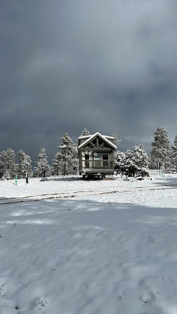 וויליאמס Cozy Cabin With Mountain View 6A מראה חיצוני תמונה